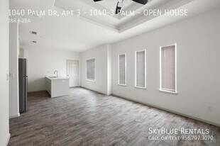 1040 Palm Dr in Alamo, TX - Building Photo