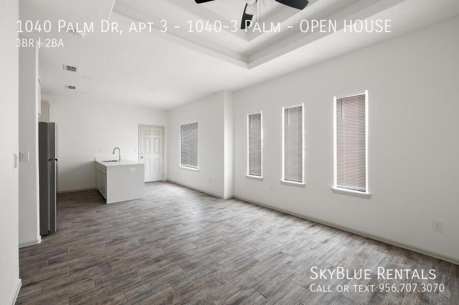 1040 Palm Dr in Alamo, TX - Building Photo