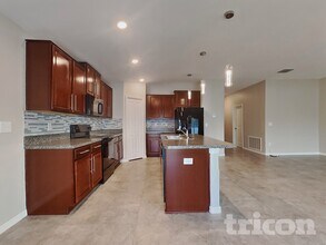 10401 Carloway Hills Dr in Wimauma, FL - Building Photo - Building Photo