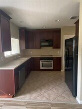 2947 Willowleaf Ln in Wesley Chapel, FL - Building Photo - Building Photo