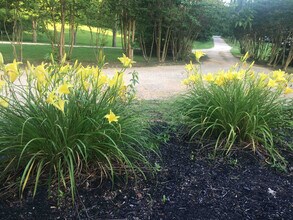 175 Laveta Ln in Camden, TN - Building Photo - Building Photo