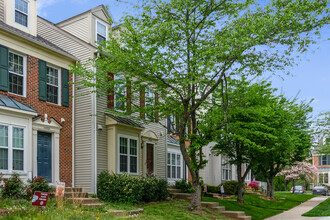 14556 Granville Ln, Unit Loft in Centreville, VA - Building Photo - Building Photo