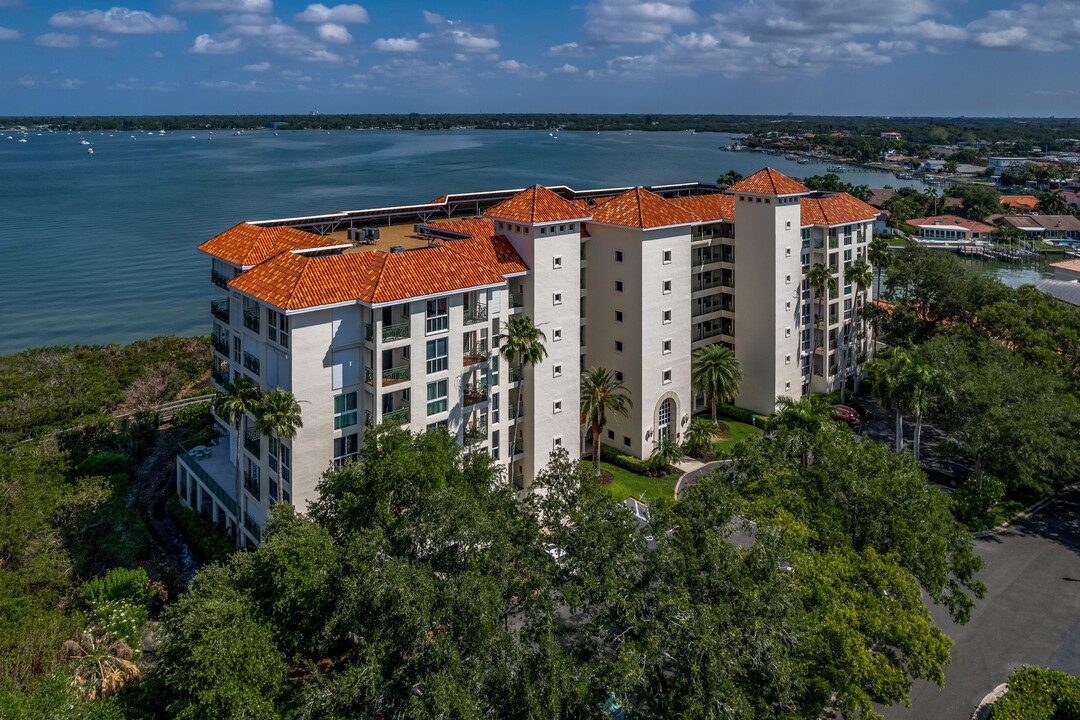 Dolphin Cay in St. Petersburg, FL - Building Photo