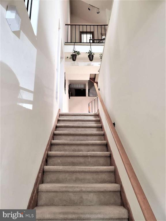 8 Rex Ave in Philadelphia, PA - Building Photo - Building Photo