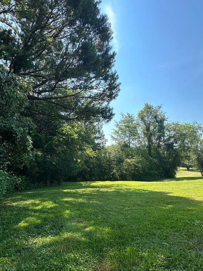 650 Rices Creek Rd in Liberty, SC - Building Photo - Building Photo