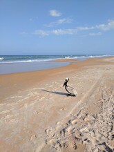 1732 Ocean Shore Blvd in Ormond Beach, FL - Foto de edificio - Building Photo