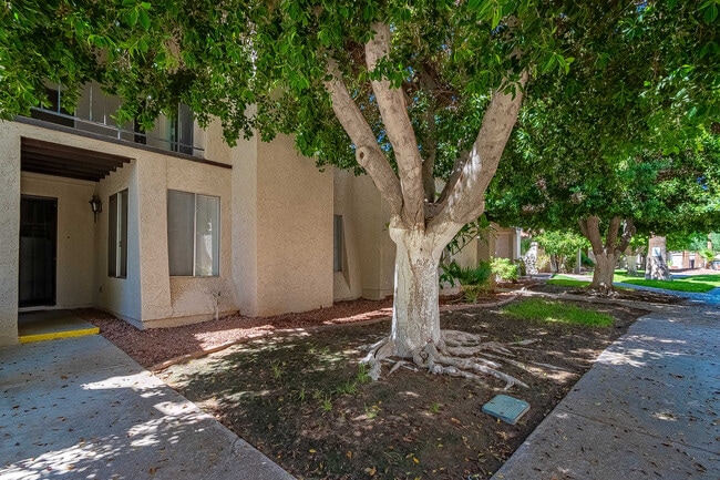 2240 S Elks Ln in Yuma, AZ - Building Photo - Building Photo