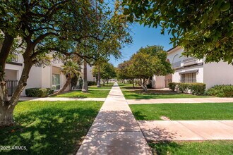 7684 E Minnezona Ave in Scottsdale, AZ - Building Photo - Building Photo