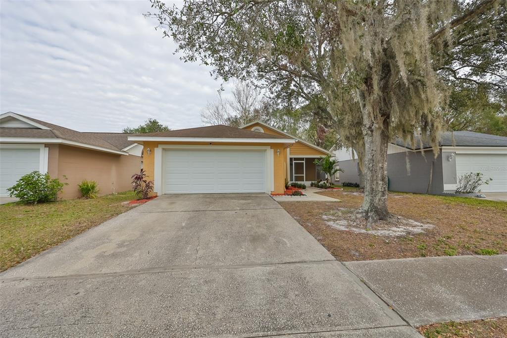 10828 Peppersong Dr in Riverview, FL - Building Photo