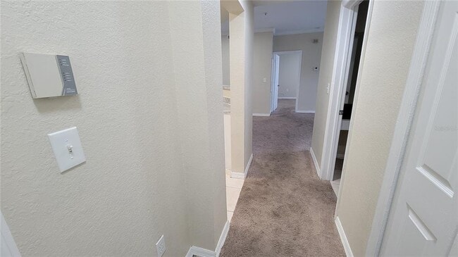3702 Palm Desert Ln in Orlando, FL - Building Photo - Building Photo