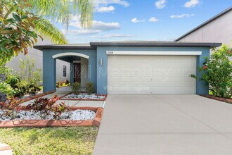 10208 Carloway Hills Dr in Wimauma, FL - Building Photo - Building Photo