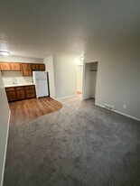 213 28th Ave W in Milan, IL - Building Photo