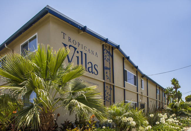 Tropicana Student Housing
