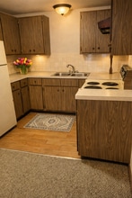 941 Buena Vista Dr in Sun Prairie, WI - Building Photo - Building Photo