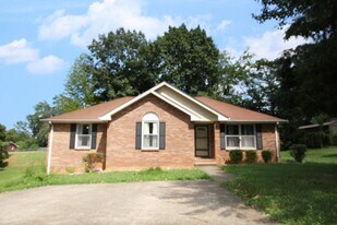517 Aurelia Lynn Dr in Clarksville, TN - Building Photo