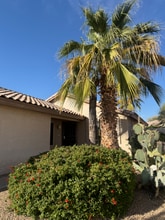 1800 E Countrywalk Ln in Chandler, AZ - Building Photo - Building Photo