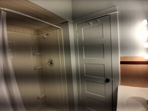 1010 N Vermilion St in Danville, IL - Building Photo - Building Photo