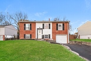 10023 Dunraven Dr in Cincinnati, OH - Building Photo