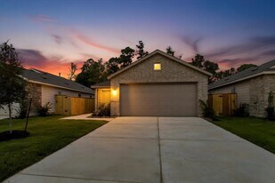 20923 South St in New Caney, TX - Building Photo