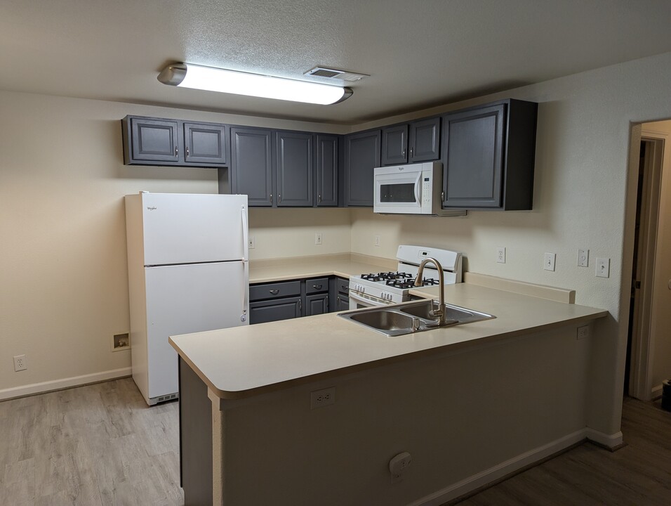 50 Jillian Ln, Unit 1 in Chico, CA - Foto de edificio