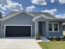 6411 Atlantic Bch Ave in Wesley Chapel, FL - Building Photo