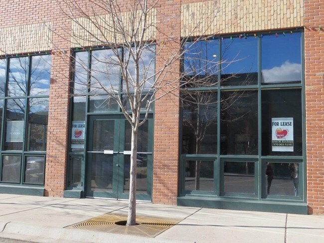 Triangle Park Lofts in Basalt, CO - Building Photo - Building Photo