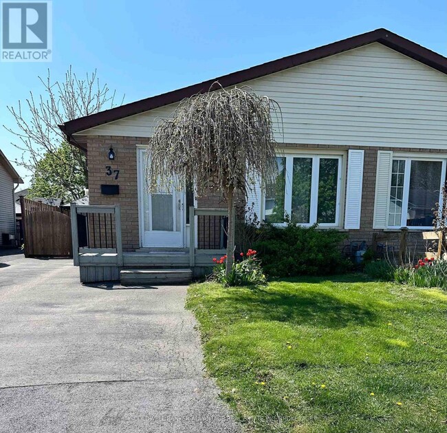 37 Mayfair Dr