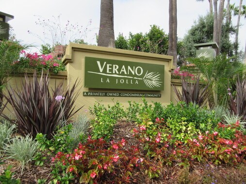 7445 Charmant Dr, Unit 1701