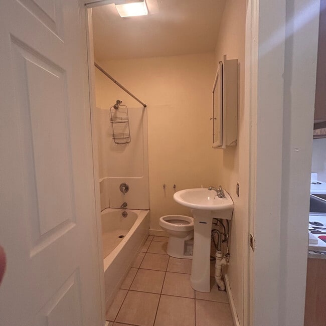 173 Chestnut St in Oneonta, NY - Building Photo - Building Photo