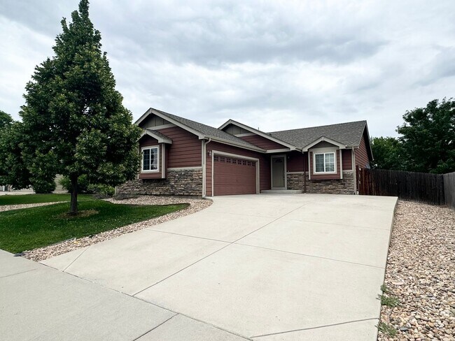 926 Delphinus Pl in Loveland, CO - Building Photo - Building Photo