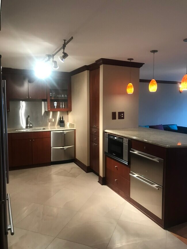201 E Chestnut St in Chicago, IL - Building Photo - Building Photo