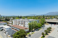 315 N Hill Ave in Pasadena, CA - Building Photo - Building Photo