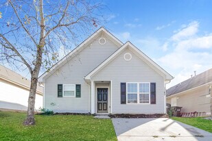 1143 Hannah Rae Ct in Charlotte, NC - Building Photo