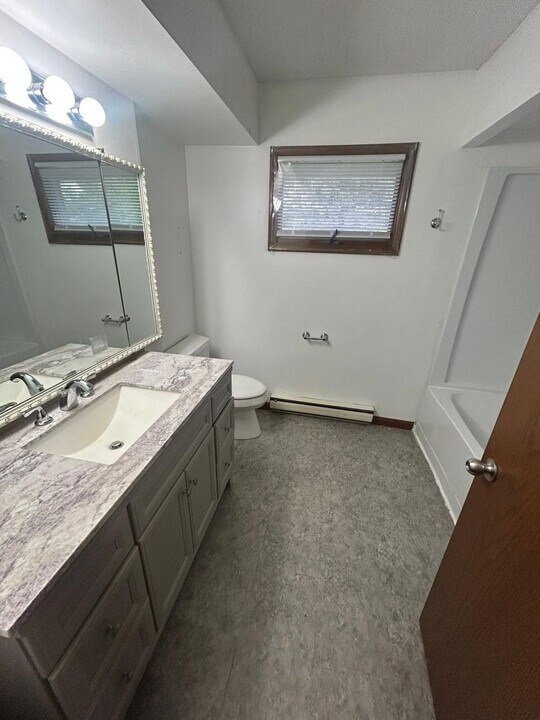 24166 Oak Ct in Chenoa, IL - Building Photo