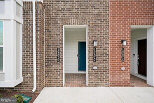 19820 Lavender Dust Sq in Ashburn, VA - Building Photo