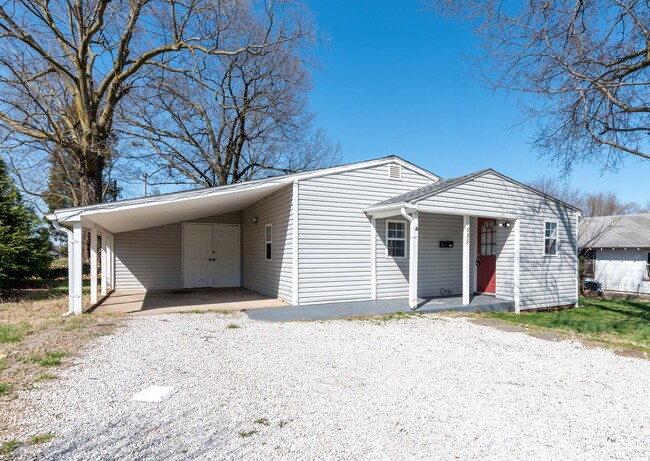 953 S Newton Ave in Springfield, MO - Building Photo - Building Photo