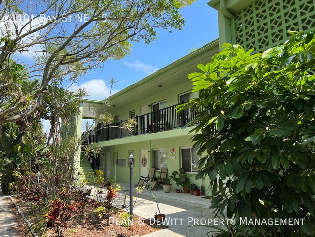 1101 Bay St NE in St. Petersburg, FL - Building Photo - Building Photo