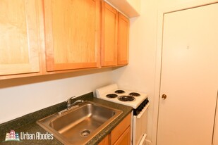 515 W Arlington Pl, Unit M07B in Chicago, IL - Building Photo - Building Photo