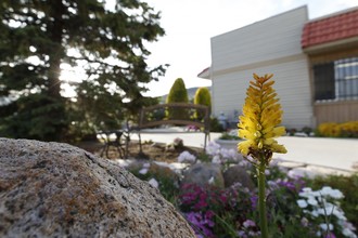 Shenandoah Villas in Carson City, NV - Foto de edificio - Building Photo