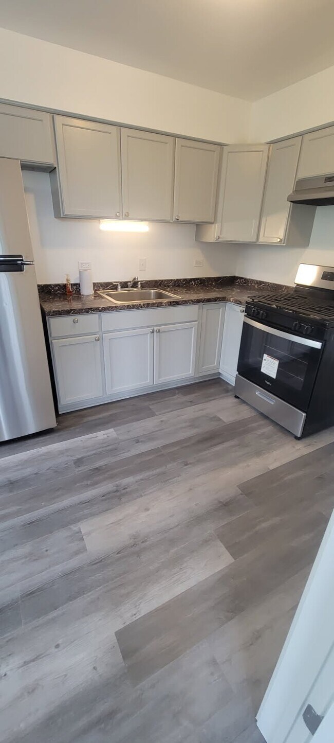 10414 Michael Todd Terrace in Glenview, IL - Building Photo - Building Photo