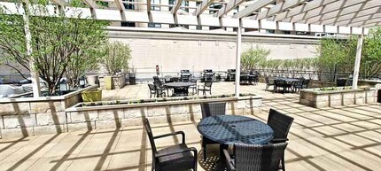 400 E Ohio St, Unit 501 in Chicago, IL - Building Photo - Building Photo