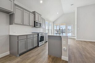 525 Bighorn Pass in Denton, TX - Building Photo