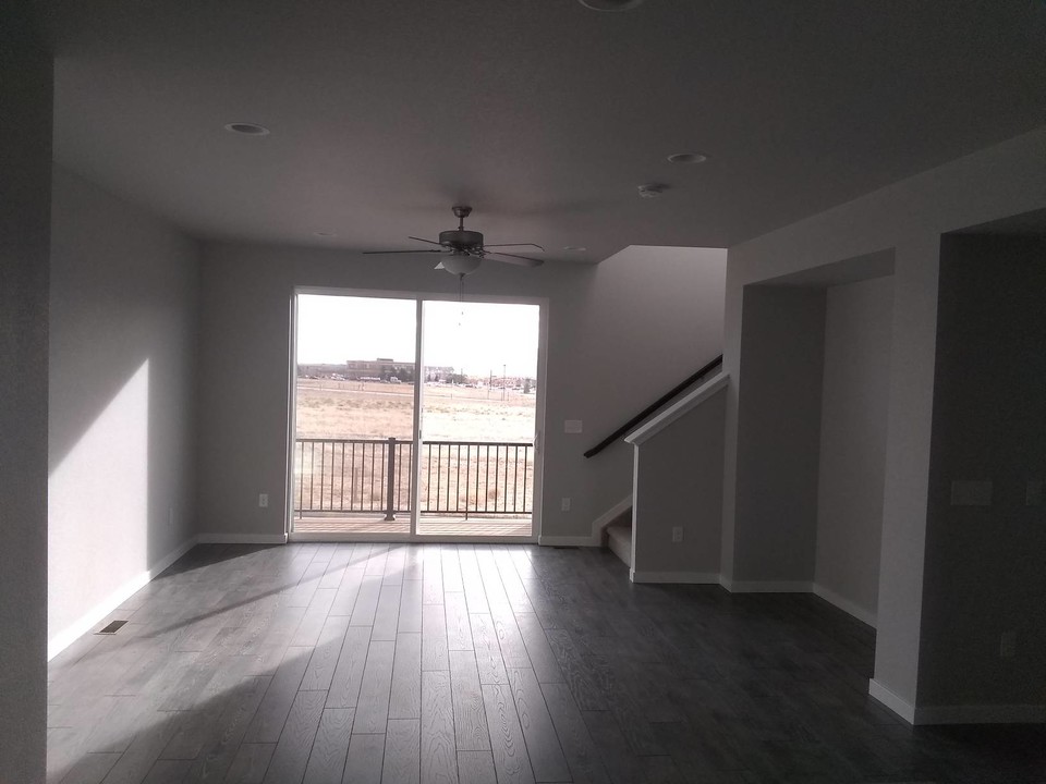 11254 Modern Meadow Loop in Colorado Springs, CO - Building Photo