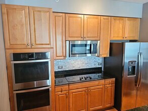 1235 S Prairie Ave in Chicago, IL - Building Photo - Building Photo