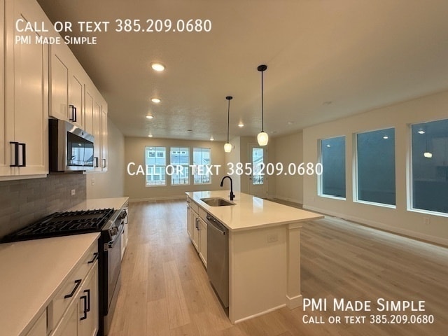 10063 Torreya Dr in Highland, UT - Building Photo - Building Photo