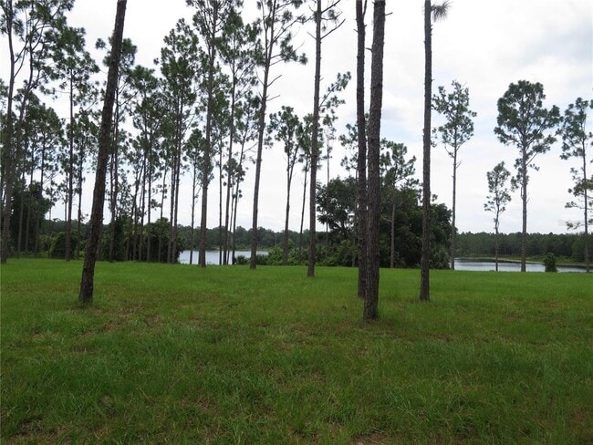36426 Tanner Ln in Eustis, FL - Building Photo - Building Photo