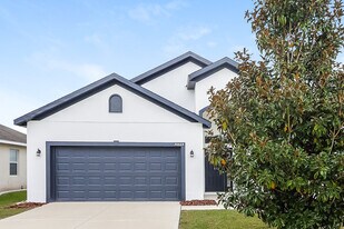 30664 Satinleaf Run in Brooksville, FL - Building Photo