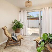 905 W Berridge Ln in Phoenix, AZ - Building Photo - Building Photo