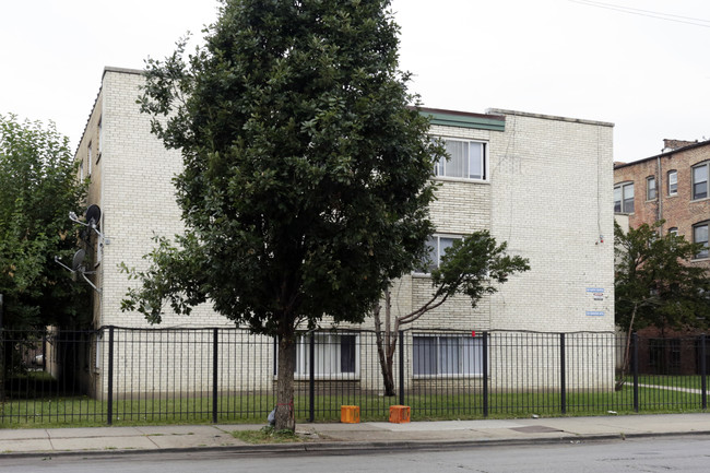 146 N Central Ave in Chicago, IL - Foto de edificio - Building Photo