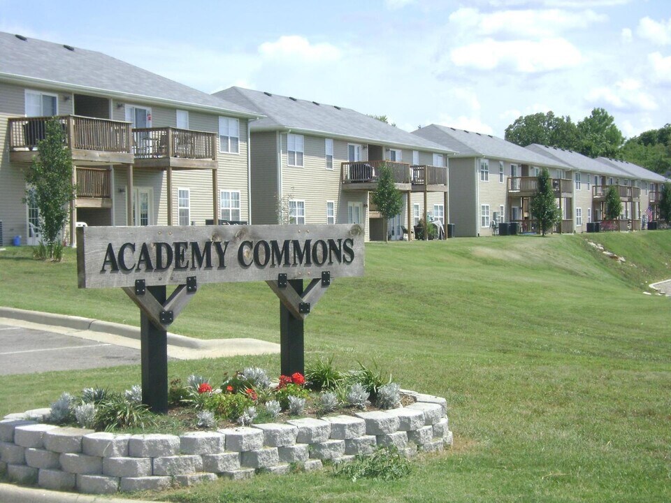 160 Knowledge Ave in Branson, MO - Building Photo